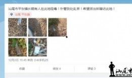 公平镇最新爆料信息网,揭秘幕后真相，一探究竟